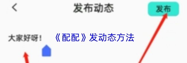 《配配》发动态方法