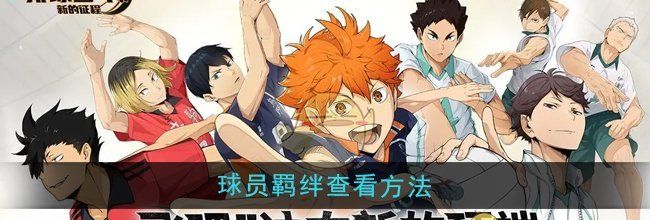 《排球少年：新的征程》球员羁绊查看方法