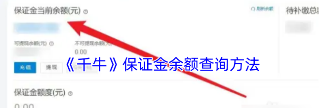 《千牛》保证金余额查询方法