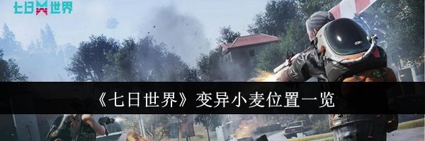 《七日世界》变异小麦位置一览