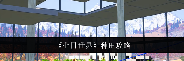 《七日世界》种田攻略