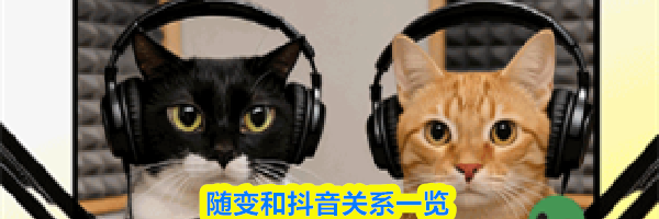 随变和抖音关系一览