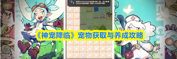 《神宠降临》宠物获取与养成攻略