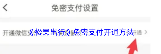 《松果出行》免密支付开通方法