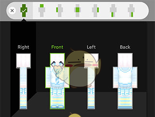 《skinseed》使用教程