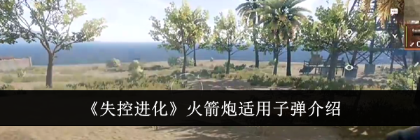 《失控进化》火箭炮适用子弹介绍