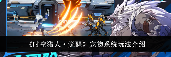 《时空猎人&middot;觉醒》宠物系统玩法介绍