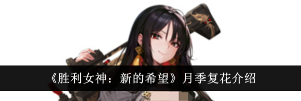 《胜利女神：新的希望》月季复花介绍