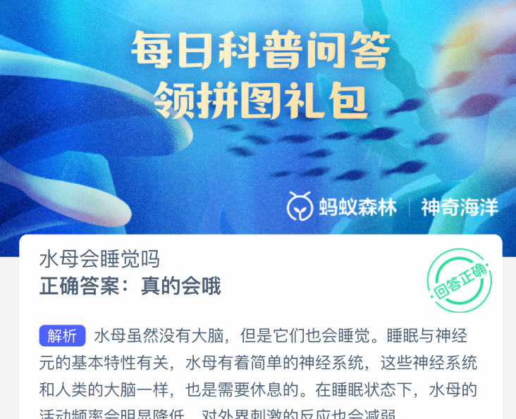 水母会睡觉吗