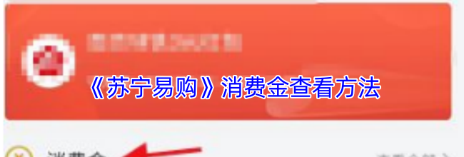 《苏宁易购》消费金查看方法