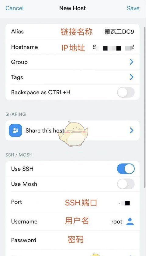 《termius》连接服务器教程