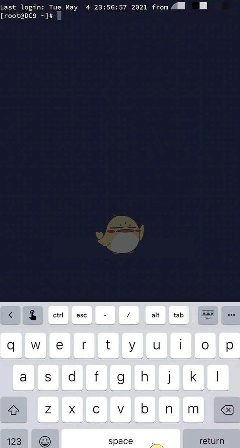 《termius》连接服务器教程