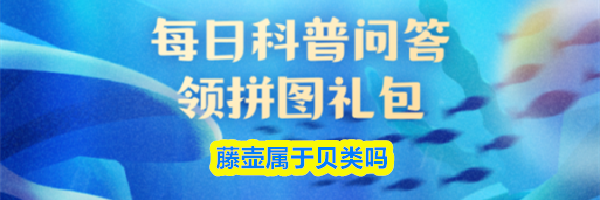 藤壶属于贝类吗