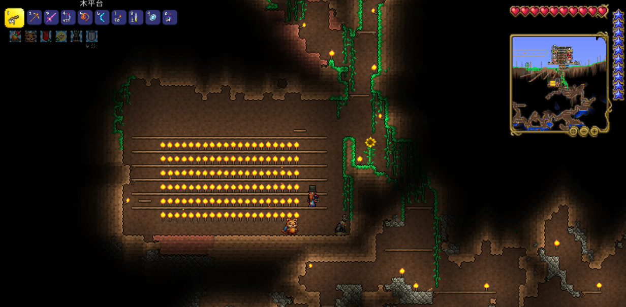 《泰拉瑞亚》稀有成就达成条件