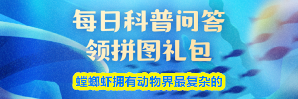 螳螂虾拥有动物界最复杂的