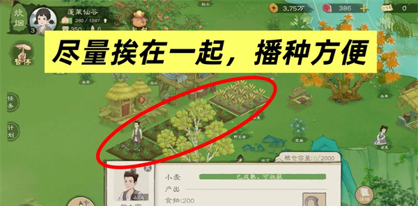 《桃源记2》新手必看十条避坑攻略