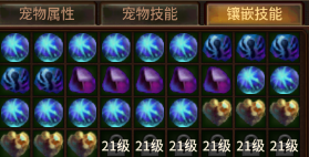 《五霸七雄传奇》宠物玩法攻略