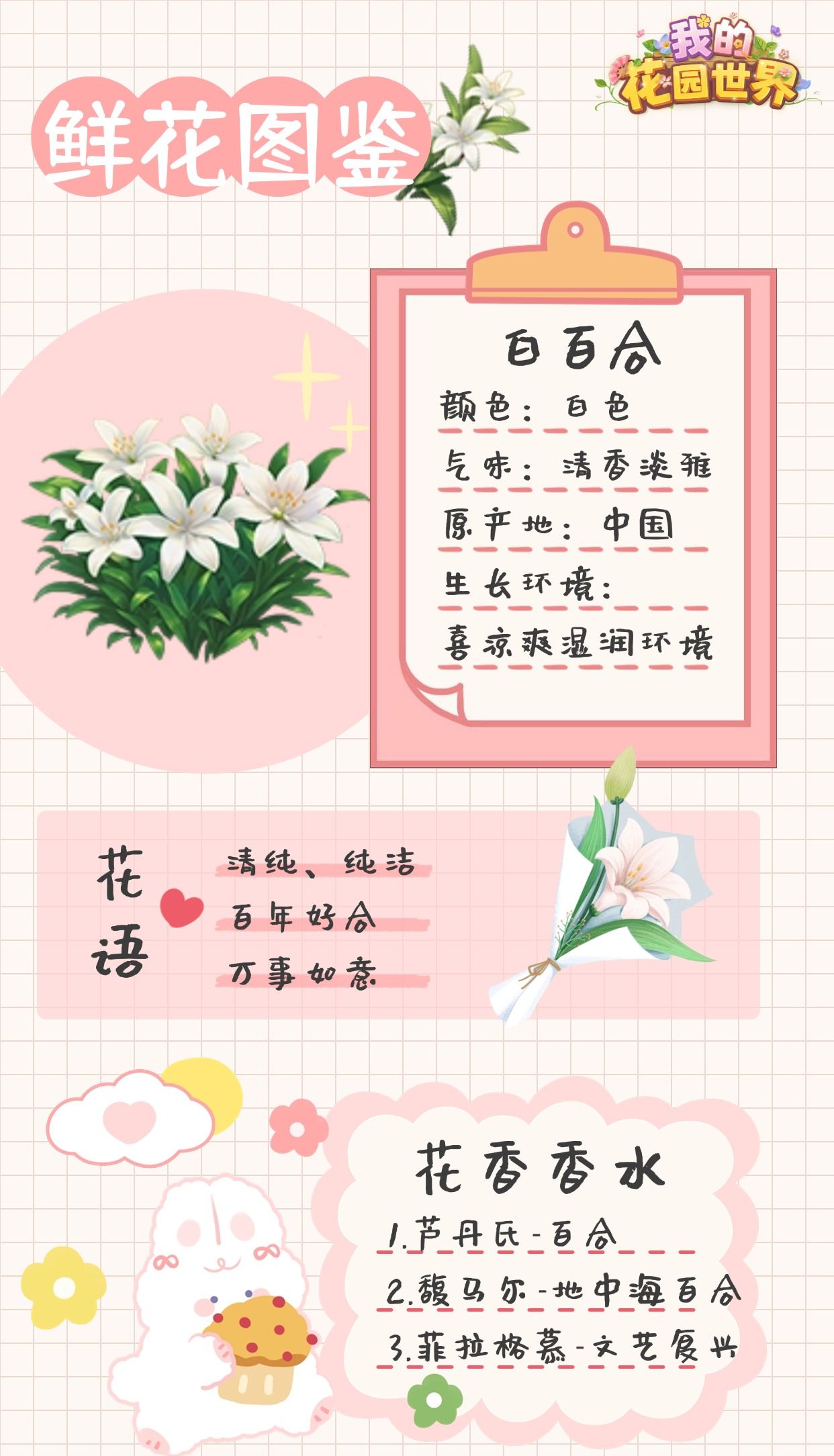 我的花园世界白百合图鉴