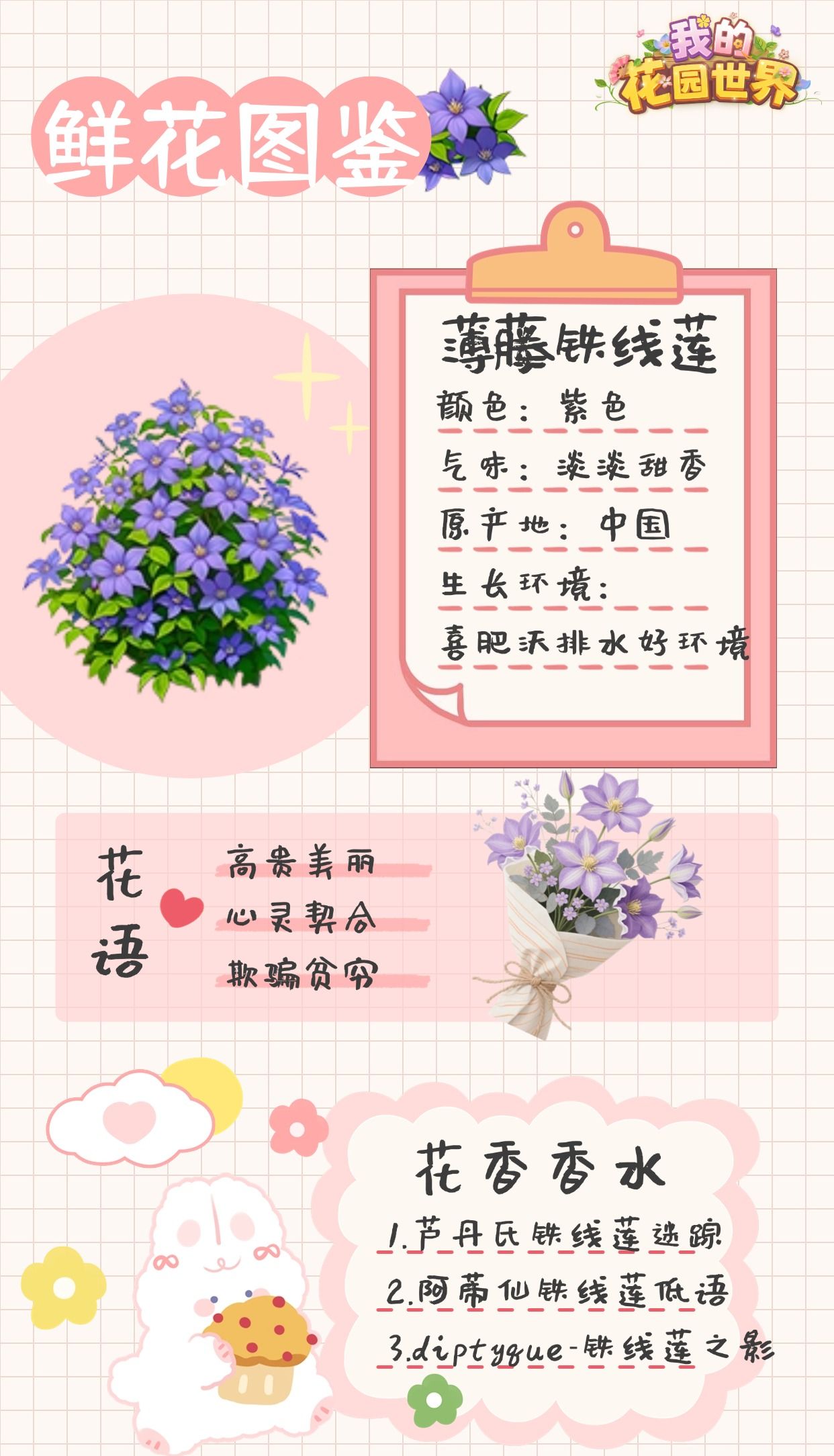 我的花园世界薄藤铁线莲图鉴