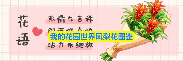 我的花园世界凤梨花图鉴