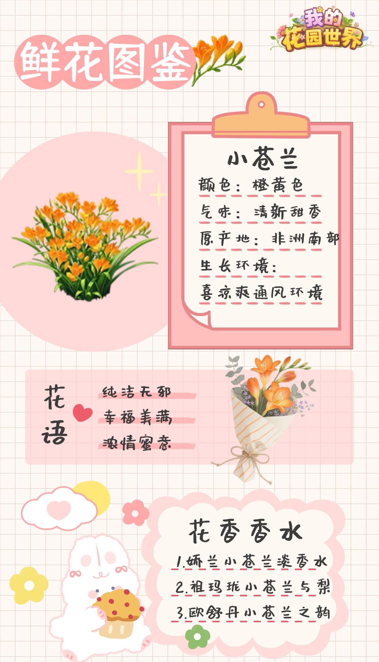 我的花园世界小苍兰图鉴