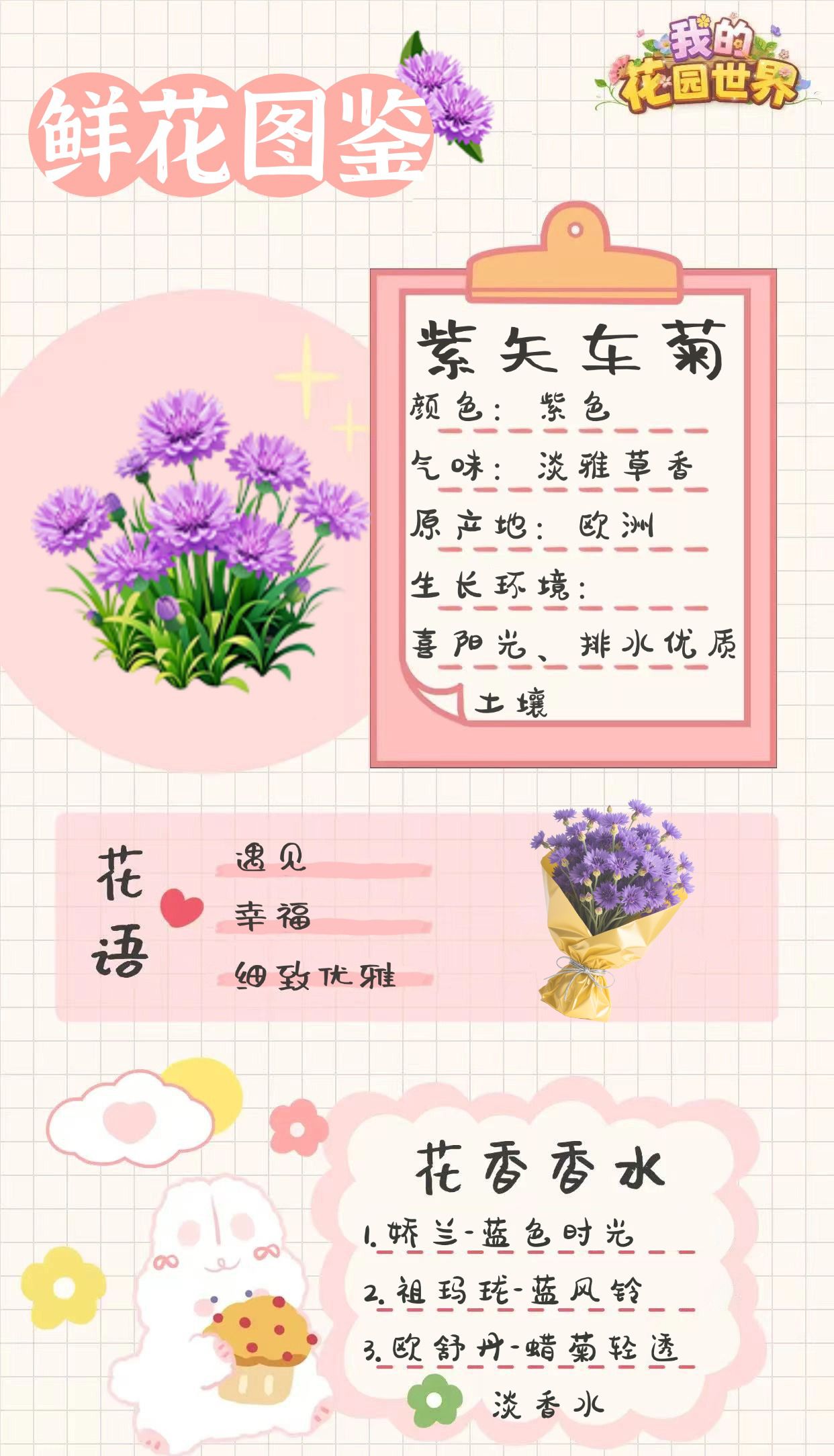 我的花园世界紫矢车菊图鉴