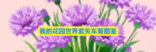 我的花园世界紫矢车菊图鉴