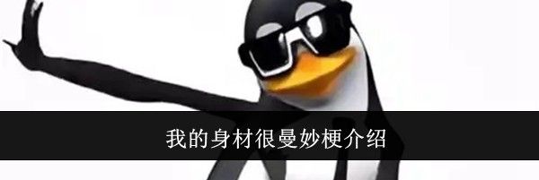 我的身材很曼妙梗介绍