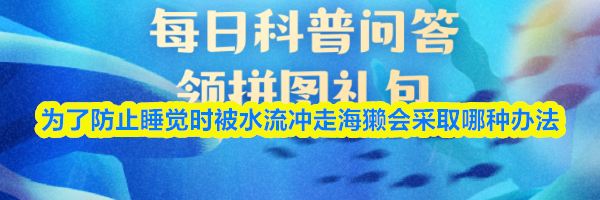 为了防止睡觉时被水流冲走海獭会采取哪种办法