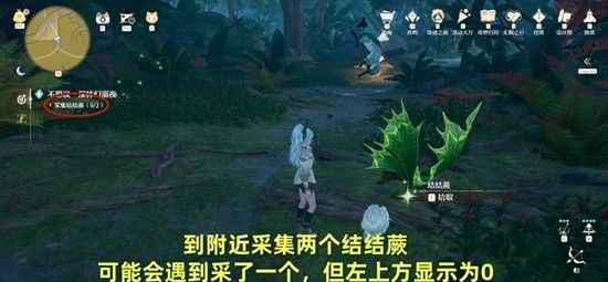 《无限暖暖》不思议深林幻溺夜攻略