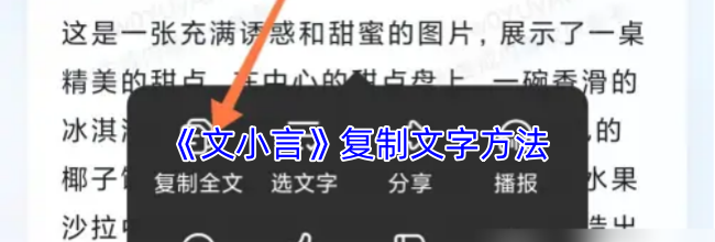 《文小言》复制文字方法