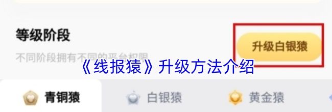 《线报猿》升级方法介绍