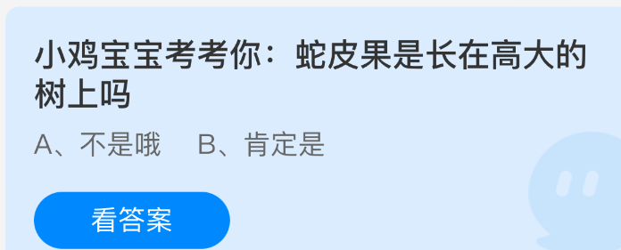 小鸡宝宝考考你：蛇皮果是长在高大的树上吗