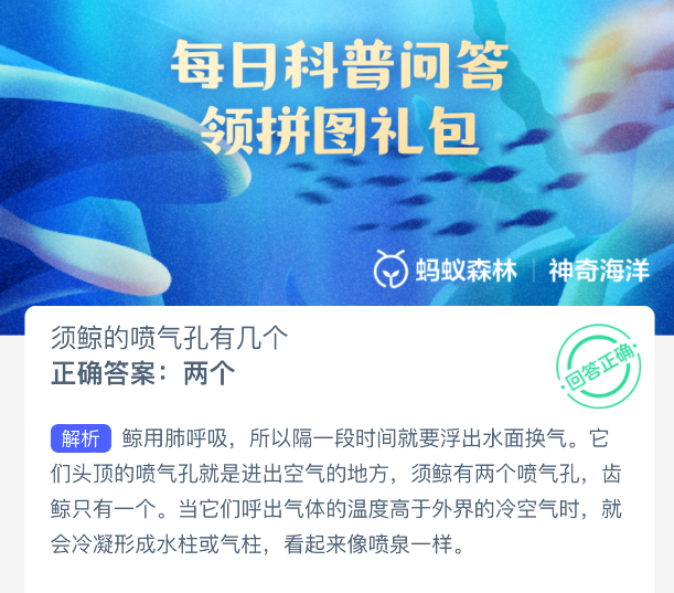 须鲸的喷气孔有几个