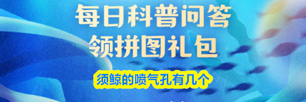 须鲸的喷气孔有几个