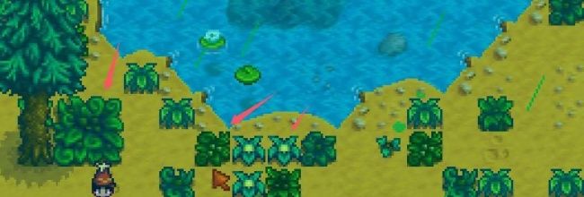 《星露谷物语》绿雨天攻略