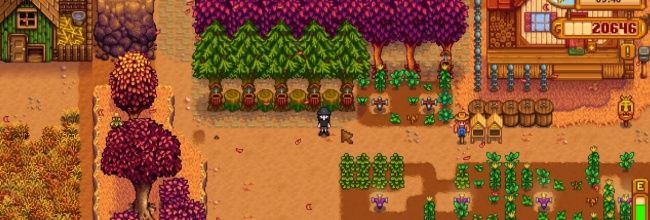 《星露谷物语》小树林建造方法