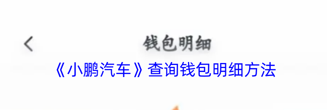《小鹏汽车》查询钱包明细方法