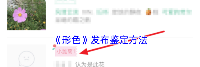 《形色》发布鉴定方法