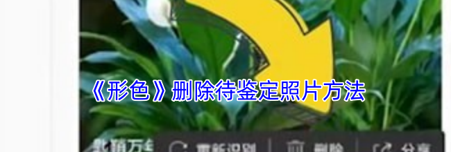 《形色》删除待鉴定照片方法