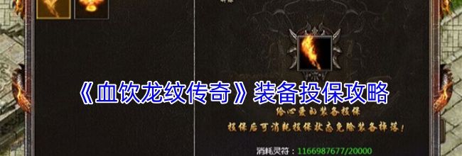 《血饮龙纹传奇》装备投保攻略
