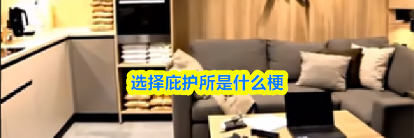 选择庇护所是什么梗