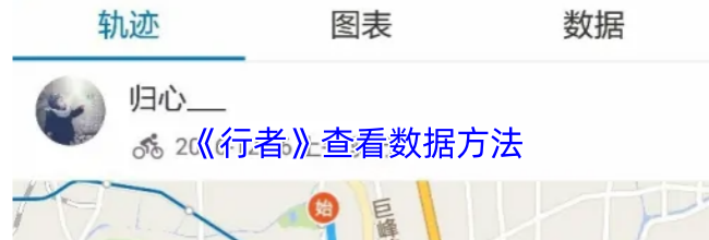 《行者》查看数据方法