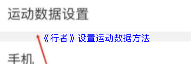 《行者》设置运动数据方法