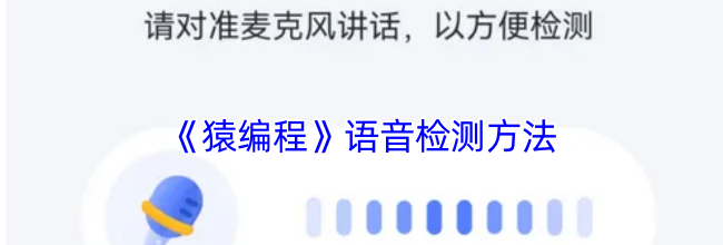 《猿编程》语音检测方法