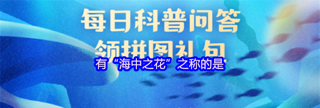 有“海中之花”之称的是