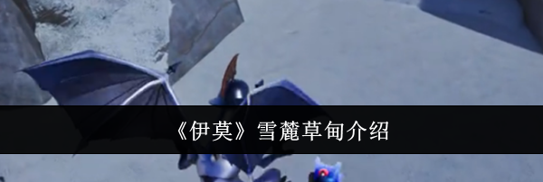 《伊莫》雪麓草甸介绍