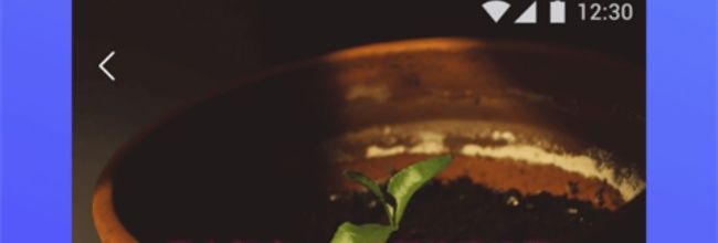 云上智农app视频倍速设置