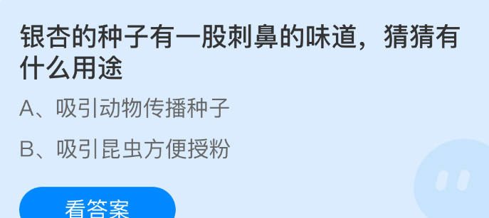 银杏的种子有一股刺鼻的味道，猜猜有什么用途