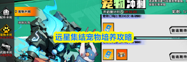 远星集结宠物培养攻略